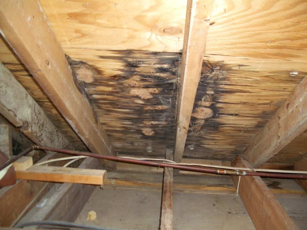 Water damage and staining on roof decking seen from the attic