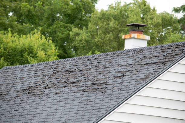 Aging roof with worn, deteriorating shingles