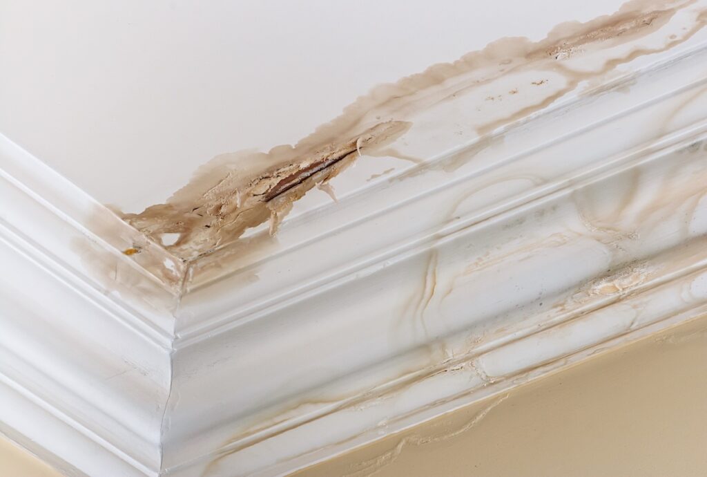 Peeling paint on an interior ceiling a result of water damage 