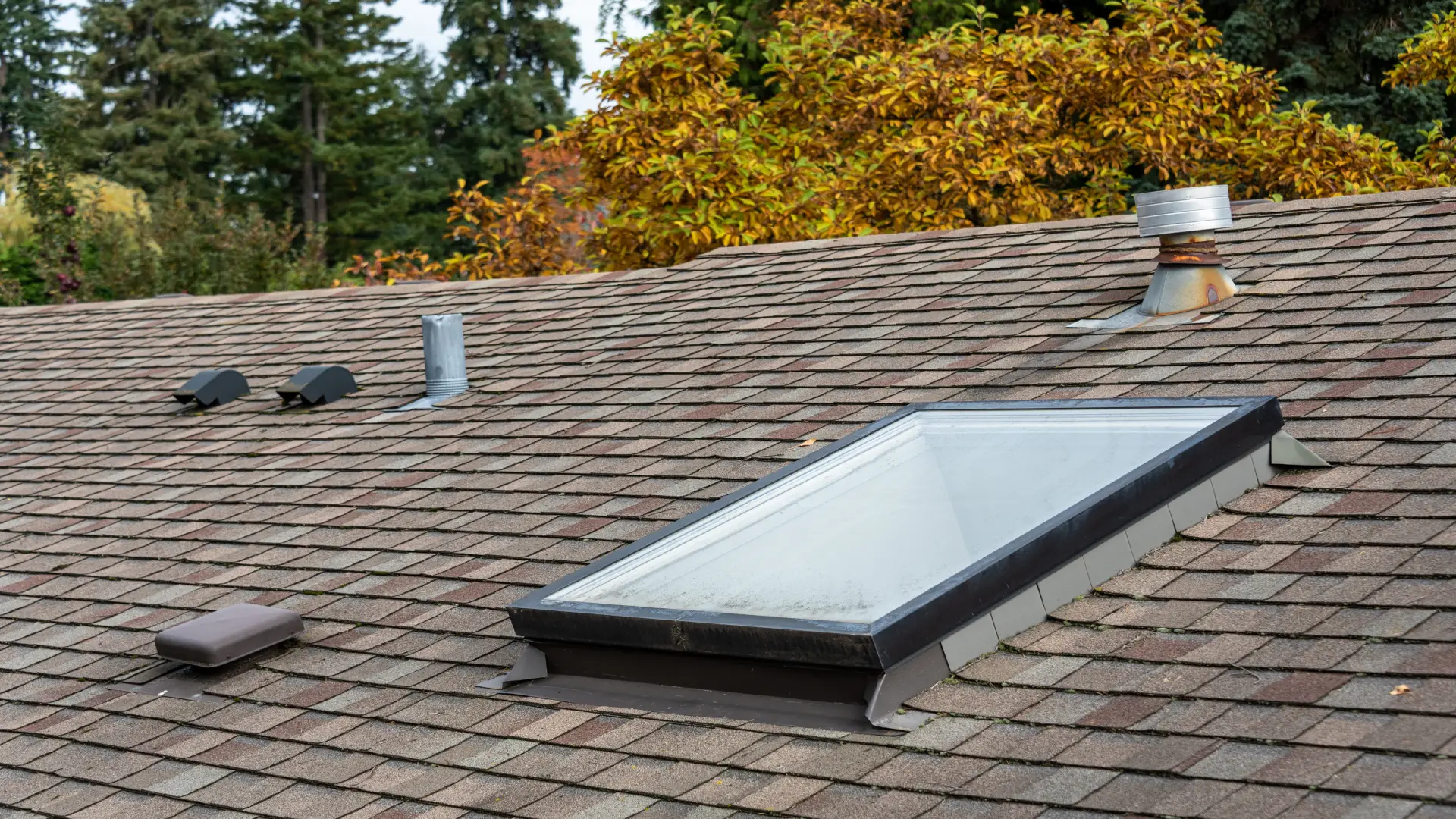 california-skylight-service