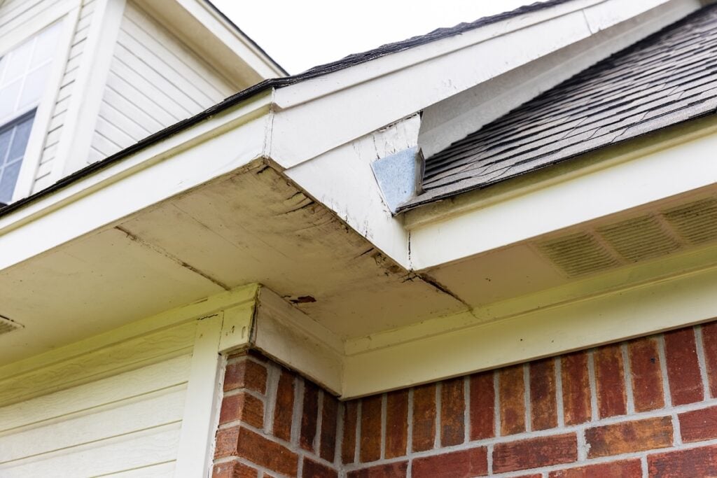 Rotten wood on Soffit and Fascia boards 