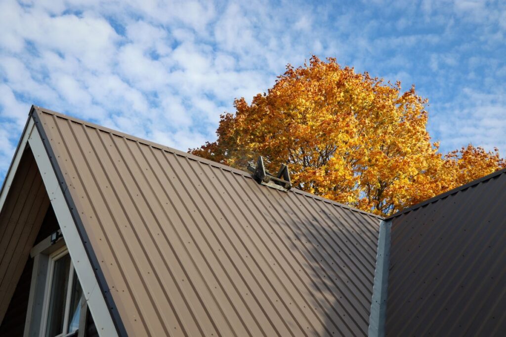 Brown metalic roof house under the autmn tree against blue sky