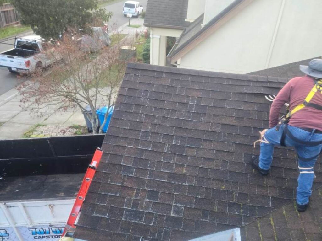 how to tarp a roof Capstone Roofing worker checking under shingles