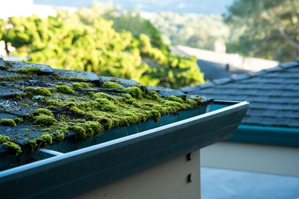 how to remove moss from roof plastic water guard